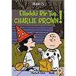 Elindeki Bir Ta Charlie Brown Charles M Schulz Artemis ocuk