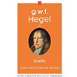 Estetik Georg Wilhelm Friedrich Hegel Krmz Kedi Yaynevi