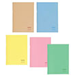 Pastel 17x24 100 Yaprak Çizgili PP Kapak Spralli Note Defteri Keskin Color