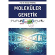 Molekler Genetik Mehmet Topakta Akademisyen Kitabevi