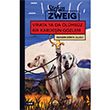 Virata Ya DA Ölümsüz Bir Kardeşin Gözleri Stefan Zweig Martı Yayınları