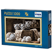Kediler 1000 Para Puzzle stanbul Puzzle