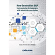 New Generation SAP Implementation Methodologies With Industrial Case Studies Arzu Balolu alayan Kitabevi