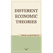 Different Economic Theories Jemal Alakhverdov Sokak Kitaplar Yaynlar