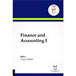 Finance and Accounting 1 Turgut rk Akademisyen Kitabevi