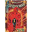 The Amazing Spiderman Poster Melisa Poster