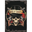 Guns N Roses Poster Melisa Poster