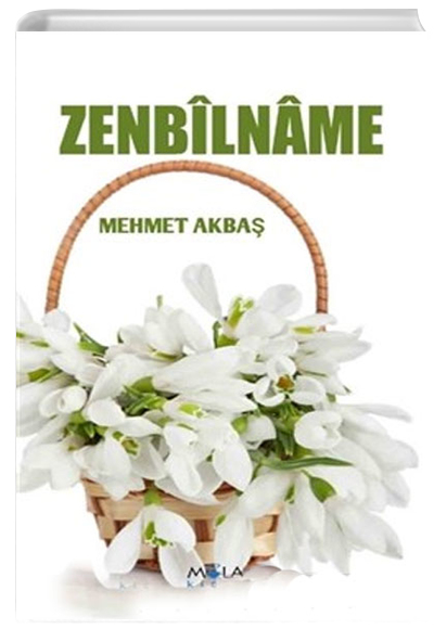Zenbilname Mehmet Akba Mola Kitap