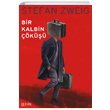 Bir Kalbin Çöküşü Stefan Zweig Puslu Yayıncılık