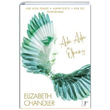 Ak Asla lmez Akn Gc Ruh Ei 3 Kitap Elizabeth Chandler Artemis Yaynlar