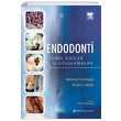 Endodonti Temel lkeler ve Uygulamalar Nobel Tp Kitabevleri