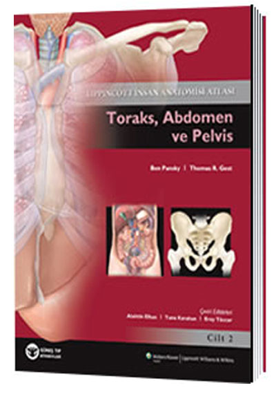 Aklamal nsan Anatomisi Atlas Cilt 2 Toraks, Abdomen ve Pelvis Alaittin Elhan Gne Tp