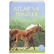 Atlar ve Poniler kartma Kitab Joanna Spector Tbitak Yaynlar