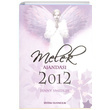 Melek Ajandas 2012 Jenny Smedley Sistem Yaynclk