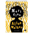 Meridian Alice Walker Doğan Kitap
