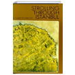 Strolling Through Istanbul A Guide To The City Hilary Sumner Redhouse Yaynlar