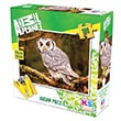 Animal Planet Bengal Eagle Owl ONUR245 Ks Games