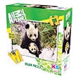 Animal Planet Panda Mother ONUR250 Ks Games