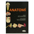 Anatomi MN Medikal ve Nobel Tp Kitabevi
