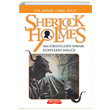 Sherlock Holmes Akgürgenlerin Esrarı Dörtlerin Birliği Sır Arthur Conan Doyle Gönül Yayıncılık