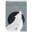 Beyaz Di Jack London Terapi Kitap