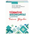 Trkiye Ekonomisi zerine Seme Yazlar Nobel Akademik Yaynclk
