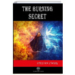 The Burning Secret Stefan Zweig Platanus Publishing