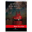 A Study in Scarlet Sir Arthur Conan Doyle Platanus Publishing