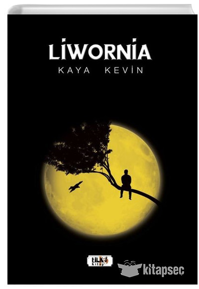 Liwornia Kaya Kevin Tilki Kitap