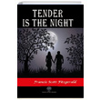 Tender is the Night Francis Scott Fitzgerald Platanus Publishing