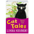 Cat Tales Rain Cat Linda Newbery Usborne