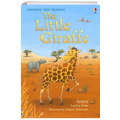 The Little Giraffe Lesley Sims Usborne