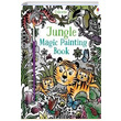 Jungle Magic Painting Book Federica Iossa Usborne