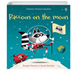 Raccoon on the Moon (Phonics Readers) Usborne