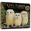 Owl Babies Walker Books