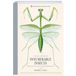 Innumerable Insects Sterling Publishing