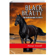 Black Beauty Anna Sewell Platanus Publishing