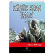Kk Kara Balk Samed Behrengi Platanus Publishing