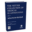 The Netter Collection Of Medical Illustrations Solunum Sistemi Gne Tp