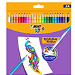 Bic Kids Evolution Silinebilir Kuru Boya Kalemi Kutu 24 Renk BİC.987869