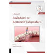 Gncel Endodonti ve Restoratif almalar Akademisyen Kitabevi