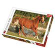 Trefl Puzzle The Beauty Of Gallop 500 Para (HEIDI37184) Art