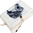 Ekinoks Kitap Klf KK-403-3 Koala 3 Penka