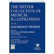 Gne Tp The Netter Collection of Medical Illustrations Kas-skelet Sistemi Travma Deerlendirme ve Tedavi Gne Tp Kitabevi