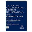 Gne Tp The Netter Collection of Medical Illustrations Kas-skelet Sistemi Gne Tp Kitabevi
