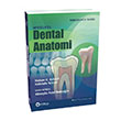Woelfel Dental Anatomi Gne Tp