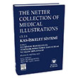 The Netter Collection of Medical Illustrations Kas-skelet Sistemi Geliimsel Boz. Tmrler Romatizmal Hast. ve Eklem Replasman Gne Tp