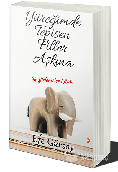 Yüreğimde Tepişen Filler Aşkına Efe Gürsoy Cinius Yayınları