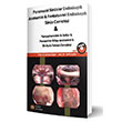 Paranazal Sinsler Endoskopi Anatomisi Fonksiyonel Endoskopik Sins Cerrahisi stanbul Tp Kitabevleri