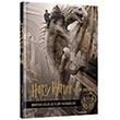 Harry Potter Film Dehlizi Kitap 3: Hortkuluklar ve lm Yadigarlar Teras Kitap